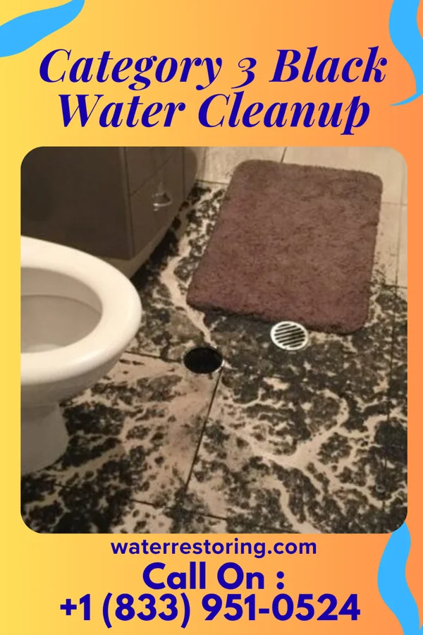 Category 3 Black Water Cleanup in Marion, VA
