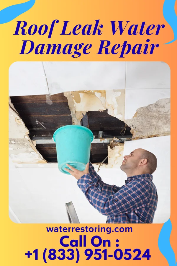 Roof Leak Water Damage Repair in Marion, VA